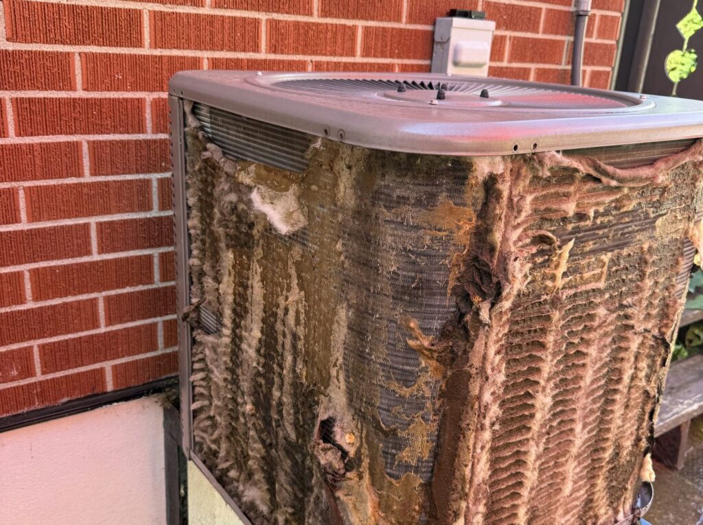 Close-up of a condenser coil almost completely matted over with cottonwood fluff and debris, showing why a two-year-old air conditioner still needs AC maintenance