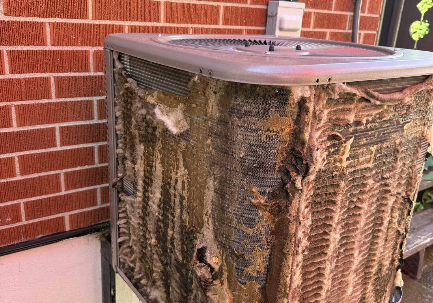 Close-up of a condenser coil almost completely matted over with cottonwood fluff and debris, showing why a two-year-old air conditioner still needs AC maintenance